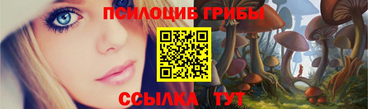 Киржач  Псилоцибиновые грибы прущие грибы  Вход с VPN 
